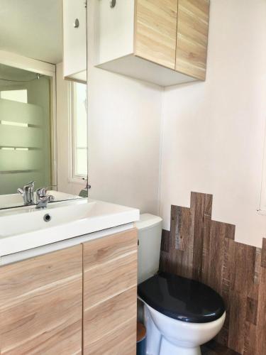 une salle de bain avec un lavabo blanc et des toilettes dans l'établissement Refuge de Bonlieu, à Lieudieu