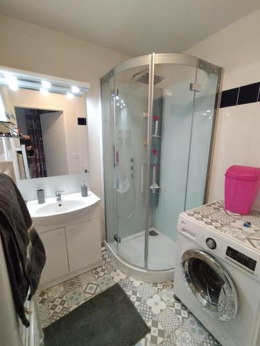 une salle de bain avec douche et machine à laver dans l'établissement Odyssey, à Saint-Valery-en-Caux