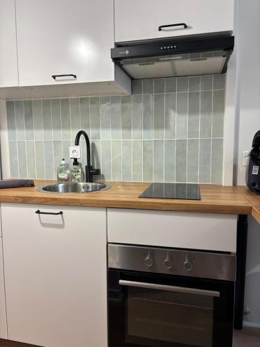 Il comprend une cuisine équipée d'un évier et d'une cuisinière. dans l'établissement Le Charmant - Proche Gare, à Villeurbanne