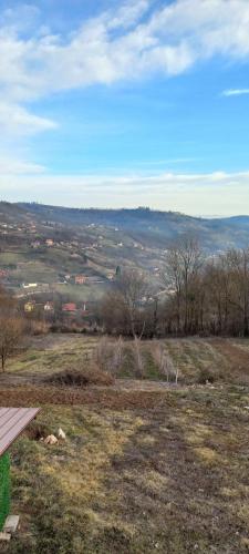 a view of a field with trees and a sky at Smeštaj Miražinke in Pogled