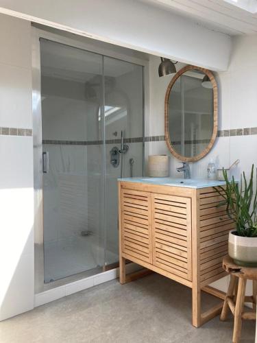 une salle de bain avec une douche avec un lavabo et un miroir dans l'établissement Charmante maison Charentaise, à Breuillet