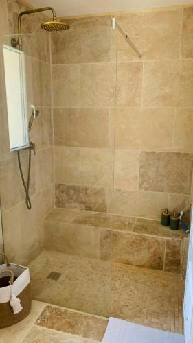 une salle de bain avec une douche avec une porte vitrée dans l'établissement LE COCCOON AIN, à Virignin