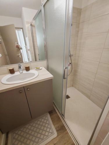 une salle de bain avec douche et lavabo dans l'établissement Très belle T2, vue mer ,Le Tout a Pied, à Saint-Raphaël