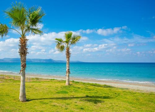 two palm trees on a beach near the ocean at Villa Irene Palace in Paphos