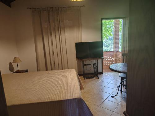 a bedroom with a bed and a flat screen tv at Pousada dos Pássaros in Santo Antônio do Pinhal