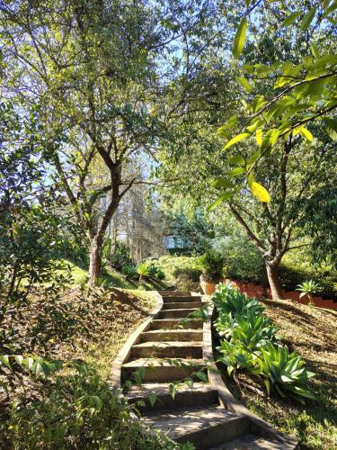 a set of stone stairs in a park with trees at Pousada dos Pássaros in Santo Antônio do Pinhal