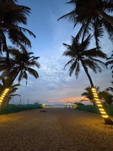 two palm trees on a sandy beach at dusk at Sector 47 Beachfront in Gokarn