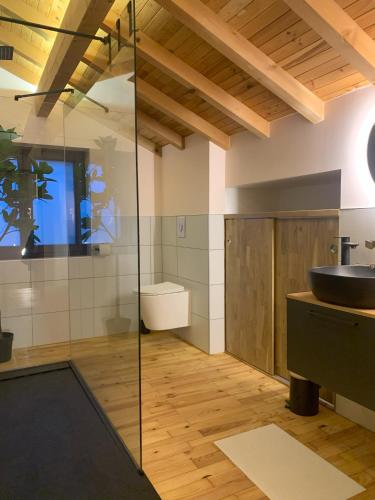 a bathroom with a sink and a glass shower at Loulipo in Gerbépal