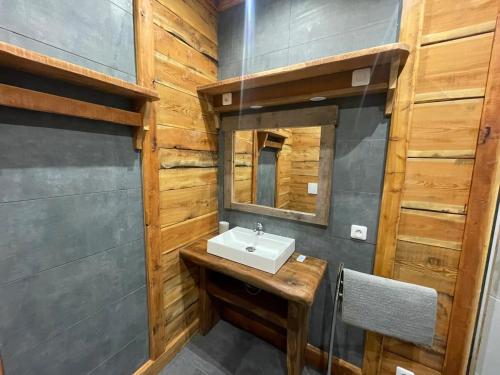 une salle de bain avec un lavabo et un miroir dans l'établissement Studio montagnard, à Belvédère