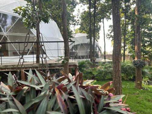 Φωτογραφία από το άλμπουμ του Tathastu Farms σε Hazārībāg