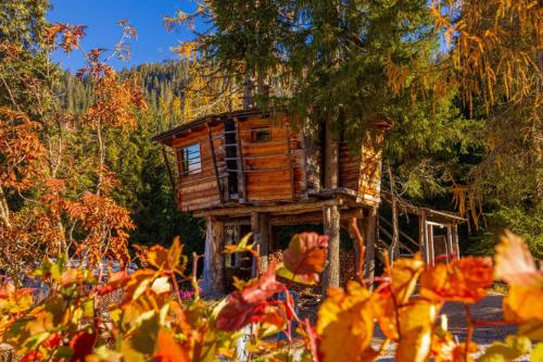 a tree house in the middle of a forest at Caravan Park Sexten in Sesto