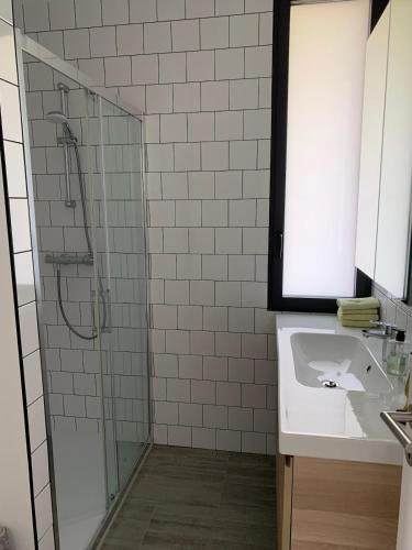 une salle de bain avec douche et lavabo dans l'établissement Appartement Le Domaine De Louis, à Croisy-sur-Eure