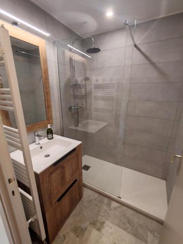 une salle de bain avec une douche, un lavabo et un miroir dans l'établissement Très beau T2 à côte de la plage, à Saint-Raphaël