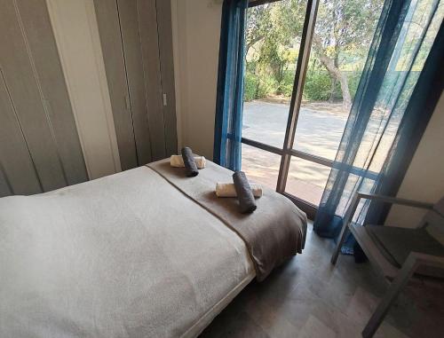 une chambre avec un lit et une grande fenêtre dans l'établissement Très beau T2 à côte de la plage, à Saint-Raphaël