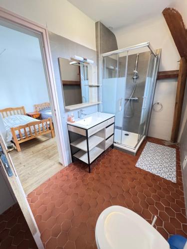 a bathroom with a shower and a toilet and a sink at Gîte du Grand Sancerrois in Jars