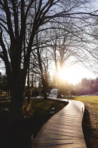 a wooden walkway in a park with the sun setting at Domaine Des Hautes Fagnes in Ovifat