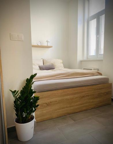 Nový moderný apartmán SAPEX "2" v centre mesta