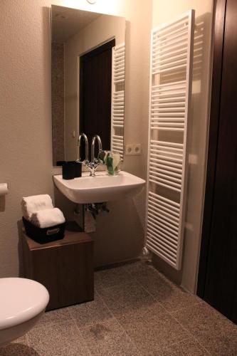 a bathroom with a sink and a toilet and a mirror at Burg Falkenberg in Falkenberg