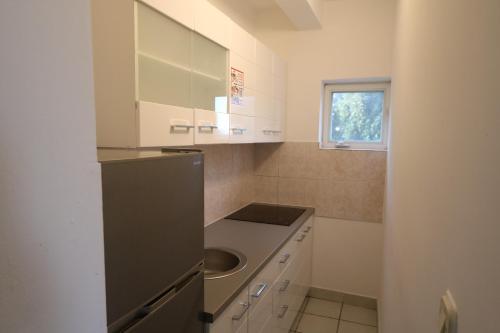 a small kitchen with a sink and a counter at Antodo Alen in Novalja