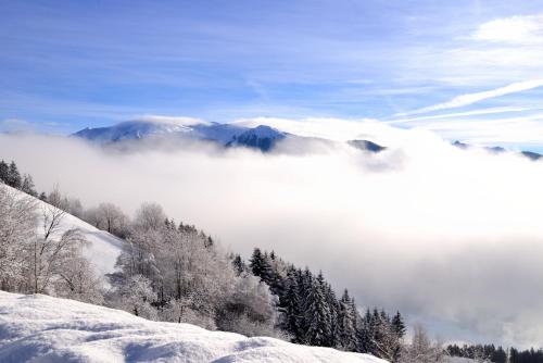 Stocknerhof – Photos 3