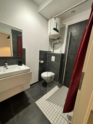 une salle de bain avec toilettes, lavabo et douche dans l'établissement L'Atelier Urbain Apartment, à Montbéliard