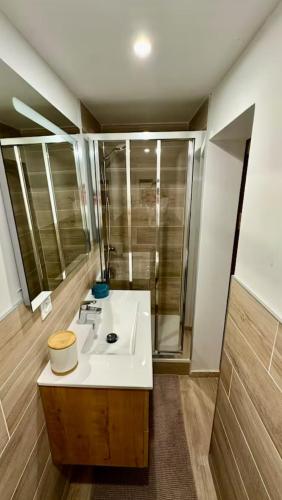 une salle de bain avec un lavabo blanc et une douche dans l'établissement Le cocon de Charlotte, à Hyères