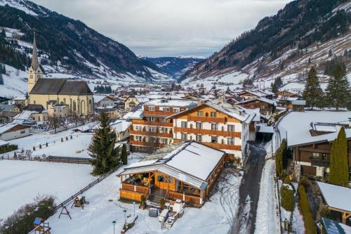 ホテルから撮影された、または一般的な山の景色