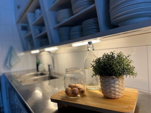 a table with a potted plant and a glass bottle at Villa Fjellheim in Luster