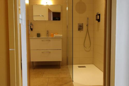 a bathroom with a shower and a sink at La Maison des Ocres - Provence in Roussillon