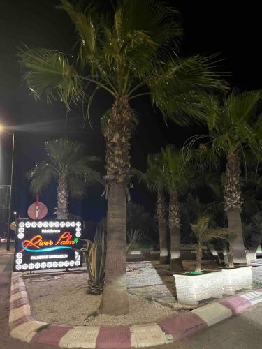 a group of palm trees in a park at night at Marrakech River Palm in Dar Caïd Layadi