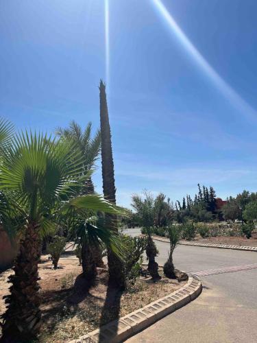 a row of palm trees on the side of a road at Marrakech River Palm in Dar Caïd Layadi