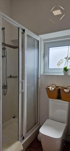 a bathroom with a shower and a toilet and a window at Casa do Bairro - O seu refúgio in Ponta Delgada