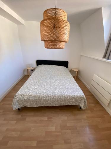 a bedroom with a bed and a chandelier at appartement hyper centre ville in Arras