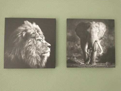 two pictures of an elephant and a lion on a wall at Bos Chalet Huize Vriendschap in Hattemerbroek