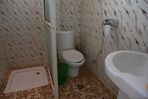 Un baño pequeño con inodoro y lavabo. en Birhanu Guest House, en Lalibela