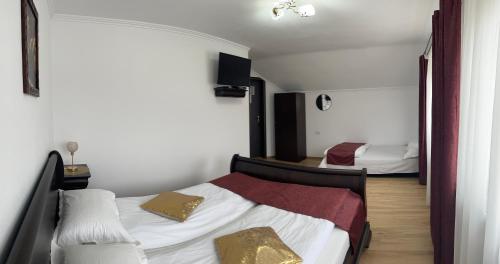 a bedroom with two beds and a tv in it at Vila Miorita in Sebeş