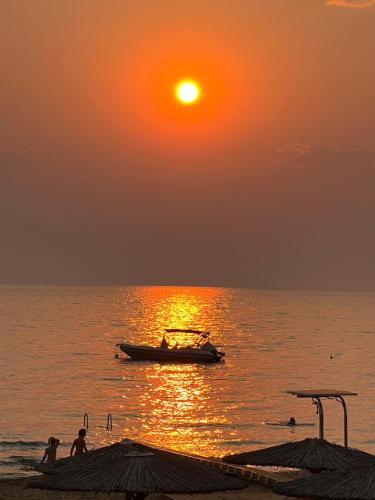 DORA'S HOUSE Douneika