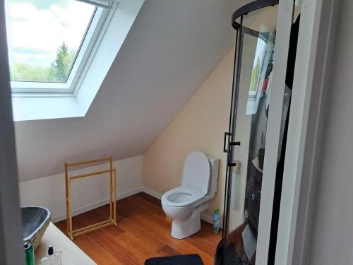 une salle de bain avec toilettes et fenêtre dans l'établissement Charmante Demeure bretonne, à Plouëc