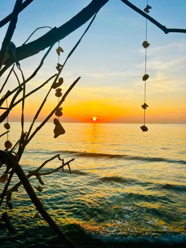 a sunset on the beach with some fish hooks at Tchin tchin Guesthouse in Ko Chang