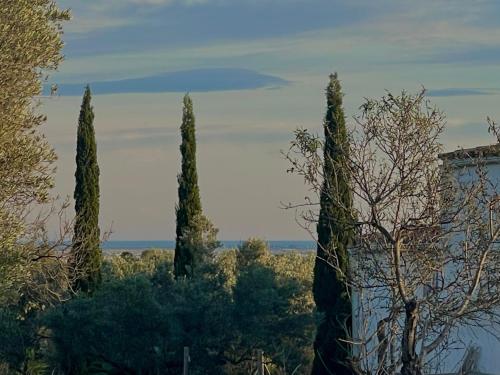 Un paisaje natural cerca de la casa de huéspedes