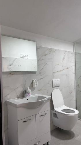 a white bathroom with a toilet and a sink at Bar Restorant Geshtenja in Reç