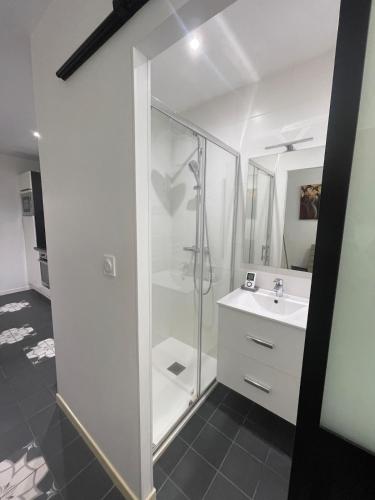 une salle de bain avec douche et lavabo dans l'établissement Beautiful T2 hypercentre private courtyard, à La Rochelle