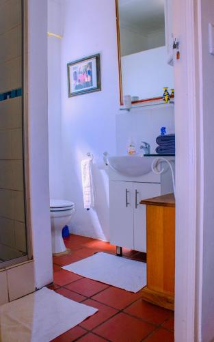 a bathroom with a sink and a toilet at Fijnbos Manor in Bettyʼs Bay