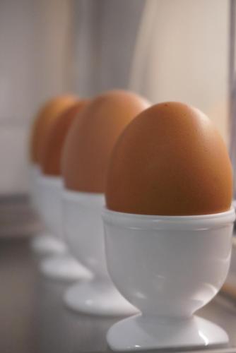 a row of eggs in egg cups on a counter at Hotel Victoria in Cuneo