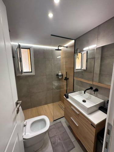 Mihaela-Andreea Luxury House