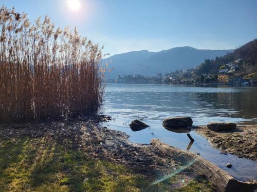 Paisaje cerca de este apartamento