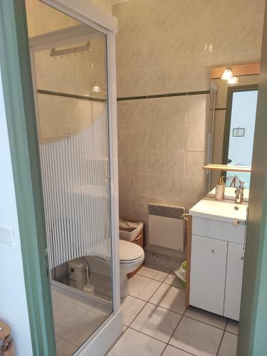 une salle de bain avec une douche, des toilettes et un lavabo dans l'établissement La casa verde, à Pouilly-en-Auxois