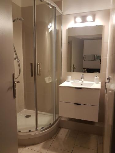 une salle de bain avec une douche, un lavabo et un miroir dans l'établissement Cannes centre - Vieux port, à Cannes