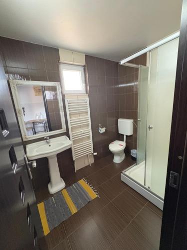 a bathroom with a sink and a toilet at Pensiunea Domnika in Dej