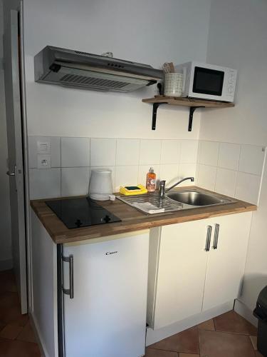 une petite cuisine avec un évier et un micro-ondes dans l'établissement Studio Centre Angers 2 personnes, à Angers
